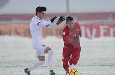 Sub 23 de VIetnam es ejemplo para futbolistas jóvenes de Vietnam, según revista Forbes 