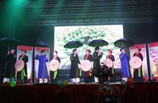 Comunidad vietnamita en el exterior festeja en saludo al Año Nuevo Lunar