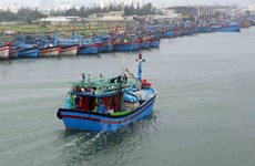 Entidades vietnamitas se encargan de toda la transportación doméstica por vía marítima
