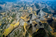 Presentan potencialidades de provincia montañosa norteña de Ha Giang a amigos internacionales