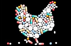 FAO: Sudeste de Asia- "punto candente" para abuso de antibióticos