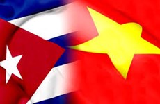 Asociación de Amistad Vietnam - Cuba de Ciudad Ho Chi Minh celebra congreso