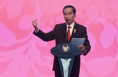 Determinada Indonesia en garantizar los derechos humanos