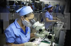 Países Bajos ayuda a Ciudad Ho Chi Minh en desarrollo de Sistemas Microelectromecánicos