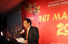 Vietnamitas en India y Rusia celebran el Tet tradicional