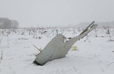 Ninguna víctima vietnamita en accidente de avión de Saratov Airlines