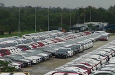 Ventas de automóviles en Vietnam se comporta en enero contrario a lo habitual 