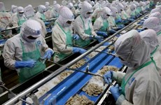 Vietnam reporta aumento de exportación de mariscos