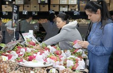 Vietnam promueve exportación agrícola en ocasión de Tet