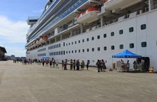 Puerto de Da Nang saluda llegada de primeros barcos de transporte