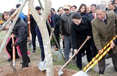 Vicepresidente de Parlamento de Vietnam inaugura festival de plantación de árboles