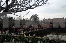 Ciudad Imperial de Hue reporta alta llegada de turistas durante el Año Nuevo Lunar