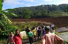 Indonesia: Deslizamiento de tierra sepulta a 25 personas