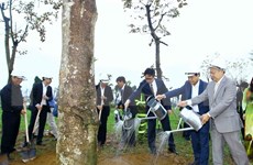 Lang Son lanza campaña para plantación de árboles