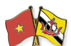Vietnam felicita a Brunéi por el Día Nacional