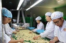 Pronostican buena perspectiva de exportaciones de Vietnam en 2018