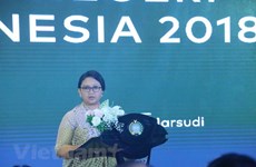 Indonesia reitera compromiso con operaciones de paz 