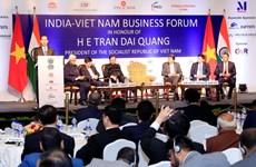 Presidente Tran Dai Quang interviene en Foro Empresarial Vietnam- la India