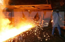 Grupo vietnamita Hoa Phat exportó más de 30 mil toneladas de acero en febrero