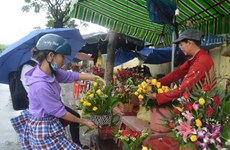 Desarrollan actividades en Vietnam en saludo al Día Internacional de la Mujer