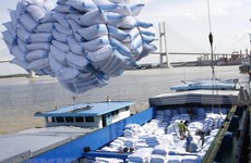 Vietnam por exportar 6,5 millones de toneladas de arroz en 2018