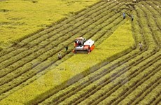 Proponen establecer mecanismo para solucionar exportaciones alimentarias a China 