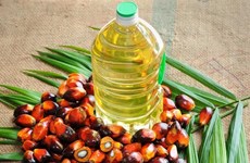 Producción de aceite de palma de Malasia aumentará en 2018