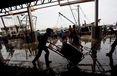 Tailandia obliga pago a través de cuentas bancarias para pescadores migrantes