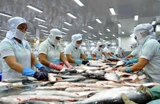 Estados Unidos aplica impuestos antidumping a pescados Tra importados de Vietnam