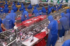 Productores vietnamitas de pescado Tra rechazan impuesto antidumping de EE.UU.