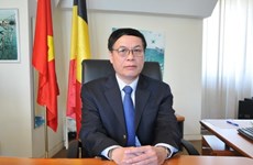 Vietnam y Bélgica consideran establecer asociación estratégica en algunas esferas