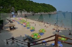 Playa Dat Tham de Vietnam entre las mejores en el mundo, según “The Independent”