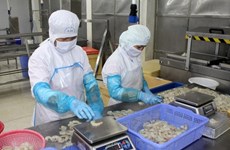 Comisión Europea lista para apoyar a Vietnam en lucha contra la pesca INDNR