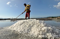 Indonesia importará 3,7 millones de toneladas de sal industrial este año