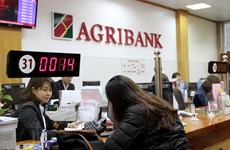 Destacan aportes de Agribank para garantizar seguridad alimentaria en Vietnam