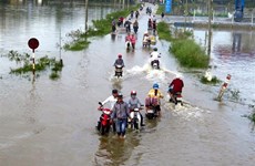UNDP y Japón promueven ensayo contra desastres naturales en escuela vietnamita  