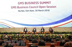  Inauguran reunión ampliada del Consejo de Negocios de la GMS
