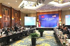 Vietnam y EE.UU. efectúan primer diálogo sobre seguridad energética  