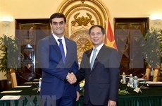 Cancillerías de Vietnam y Turkmenistán celebran consultas políticas