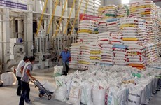Creciente demanda de mercados principales favorecerá ventas vietnamitas de arroz