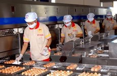 Vietnam no aplica cuotas a importaciones de sal y huevos de ASEAN 