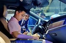 Especialistas británicas prevén alta demanda de autos en Vietnam