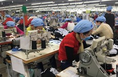 Vietnam: Sector de Confecciones disfruta de buen comienzo para alcanzar su meta del año