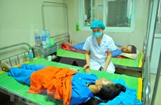 Reportan tres fallecidos por dengue en Vietnam