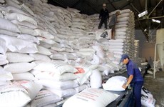 Filipinas puede importar 250 mil toneladas de arroz de Vietnam o Tailandia 