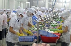 Banco Mundial prevé crecimiento estable de la economía vietnamita