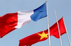 Canciller vietnamita expresa felicitaciones por aniversario de relaciones con Francia 