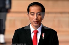 Gobierno de Indonesia revisa proyectos estratégicos nacionales 