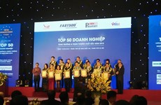 Anuncian las 500 empresas vietnamitas con mayor crecimiento en 2018