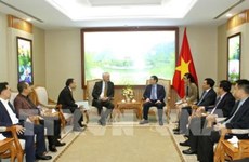 Talanx AG propone aumentar participación de inversores extranjeros en empresa vietnamita